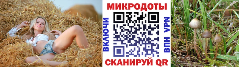 Галлюциногенные грибы GOLDEN TEACHER  Феодосия 